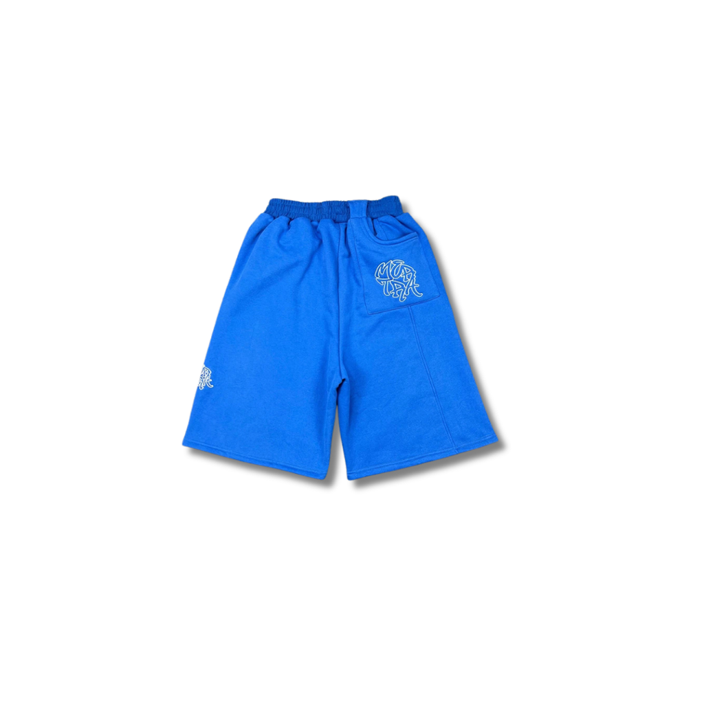 CURVE PANEL SHORTS