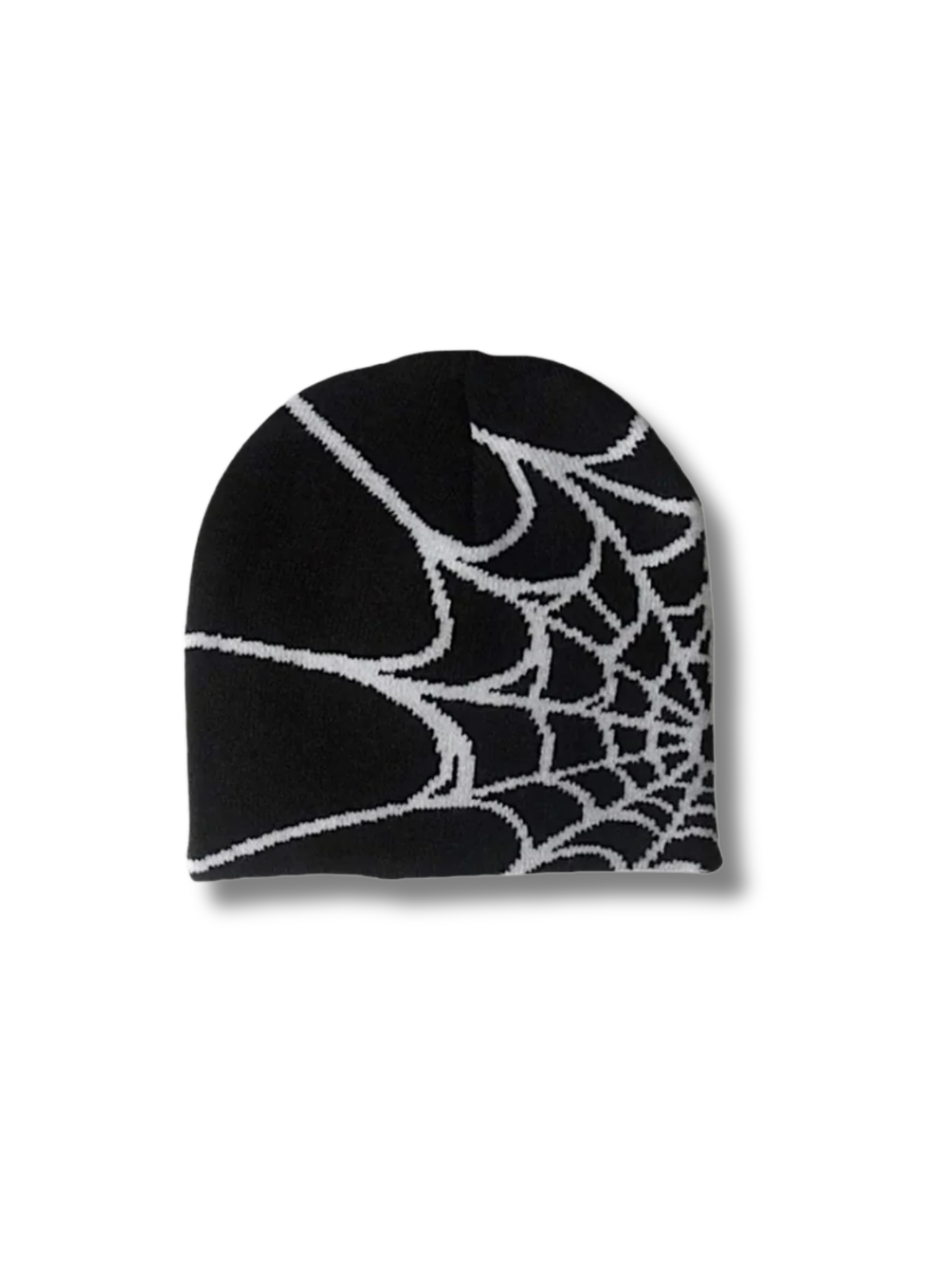 SPIDERWEB BEANIE