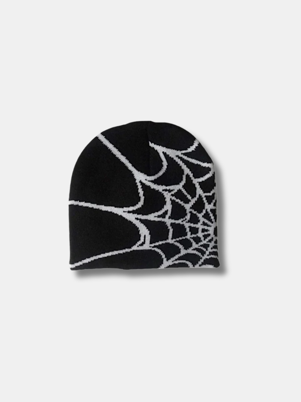 SPIDERWEB BEANIE