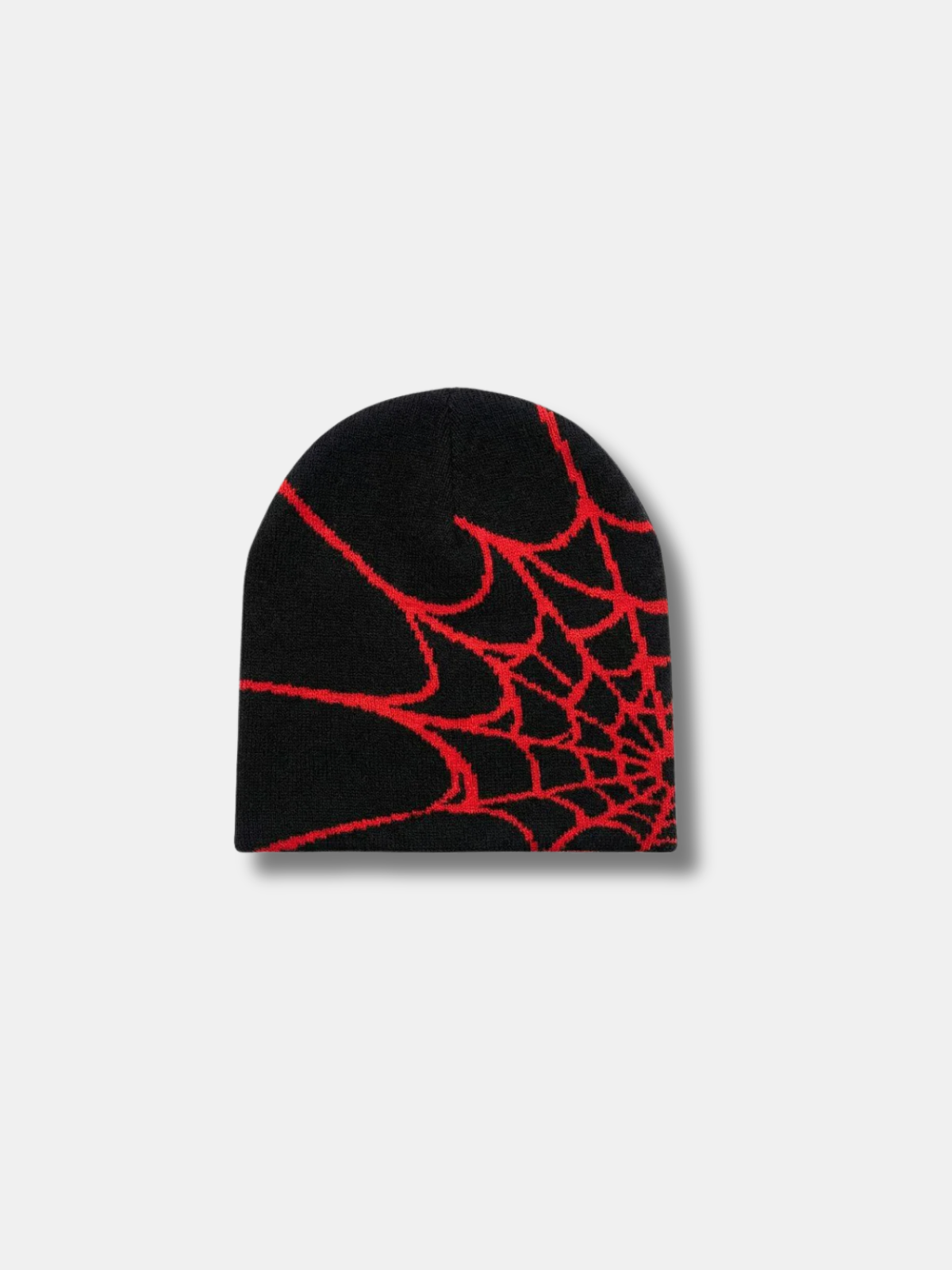 SPIDERWEB BEANIE