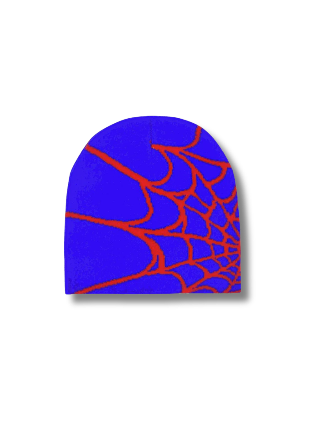 SPIDERWEB BEANIE