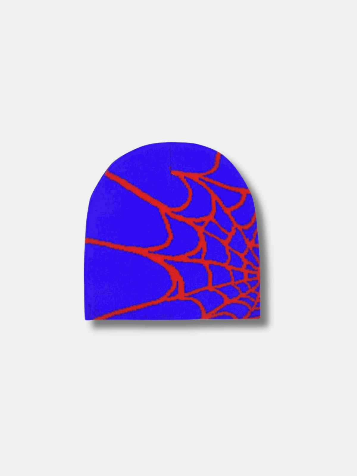 SPIDERWEB BEANIE