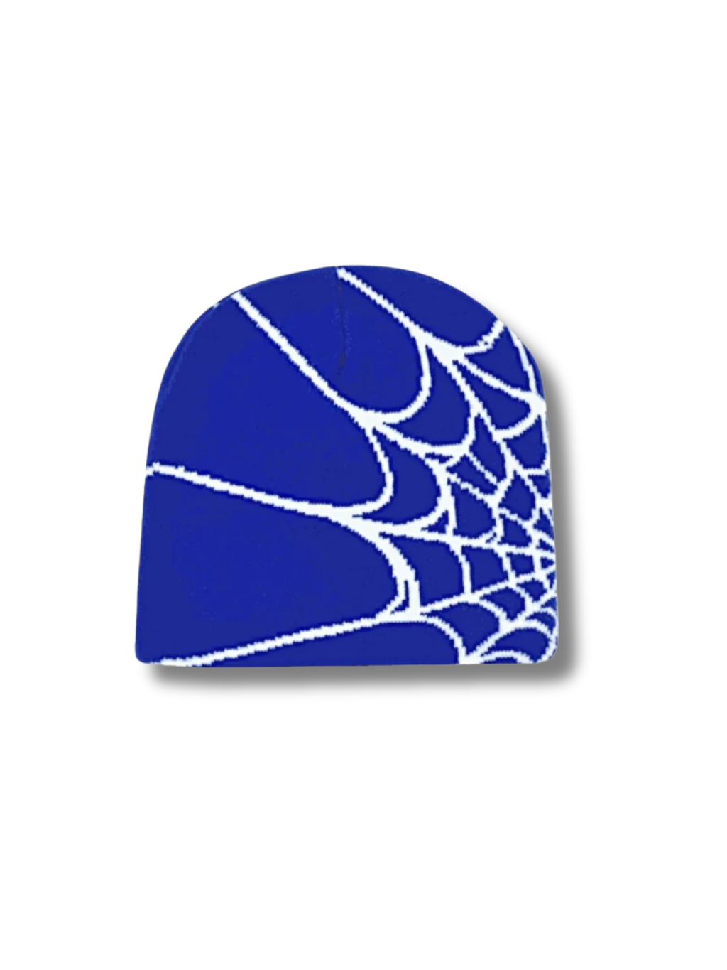 SPIDERWEB BEANIE