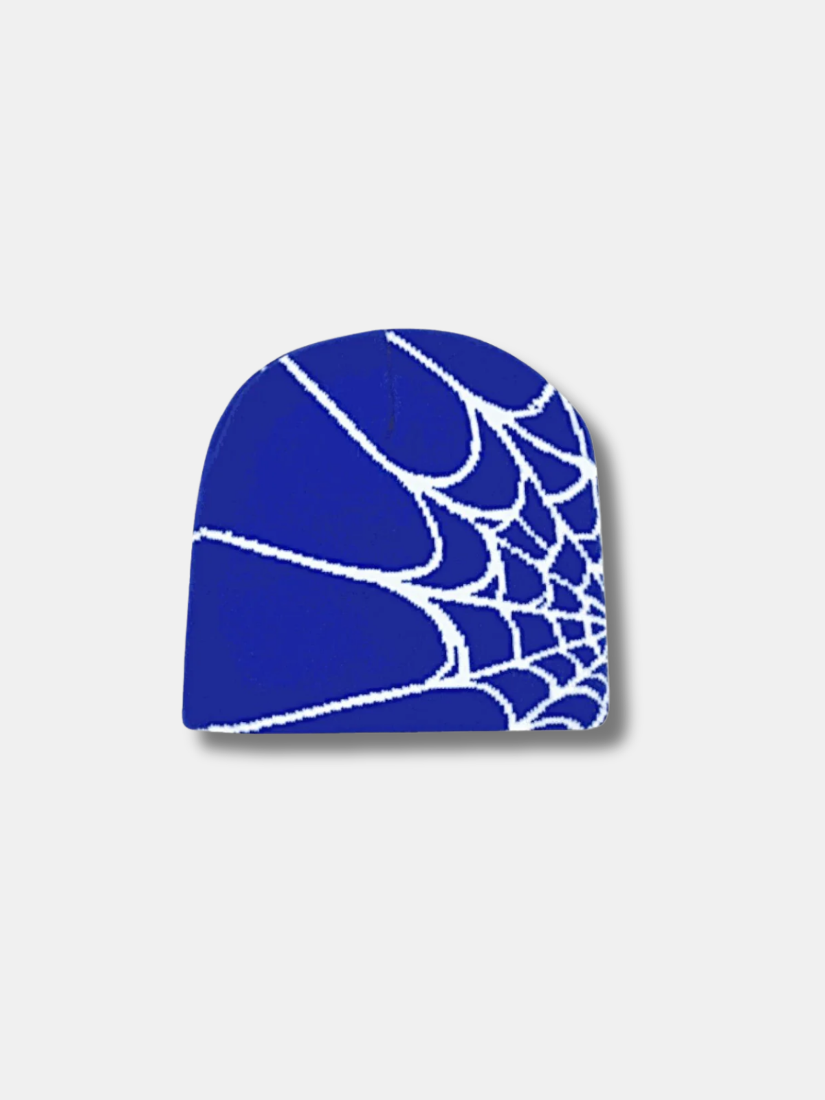 SPIDERWEB BEANIE