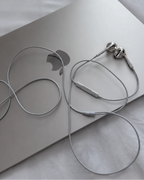 WIRED CHROME EARBUDS