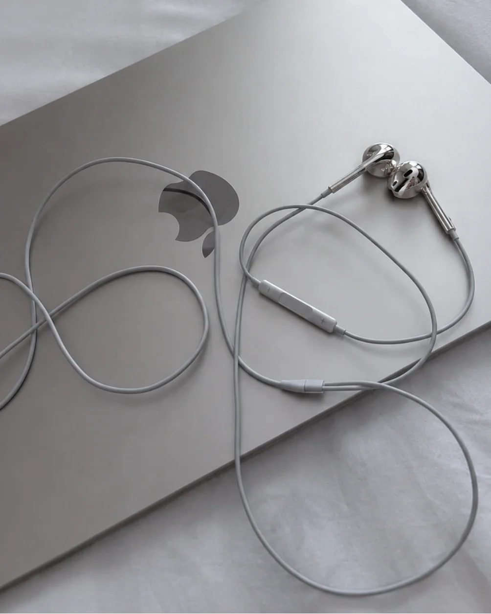 WIRED CHROME EARBUDS